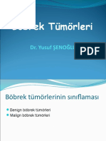 3.bobrek - Mesane TM (Dr. Y.Şenoğlu)