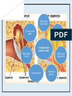 Complicatiile Otitelor Medii