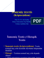 8.InmemisTestis (Prof. Dr. M. Ali Kayıkçı)