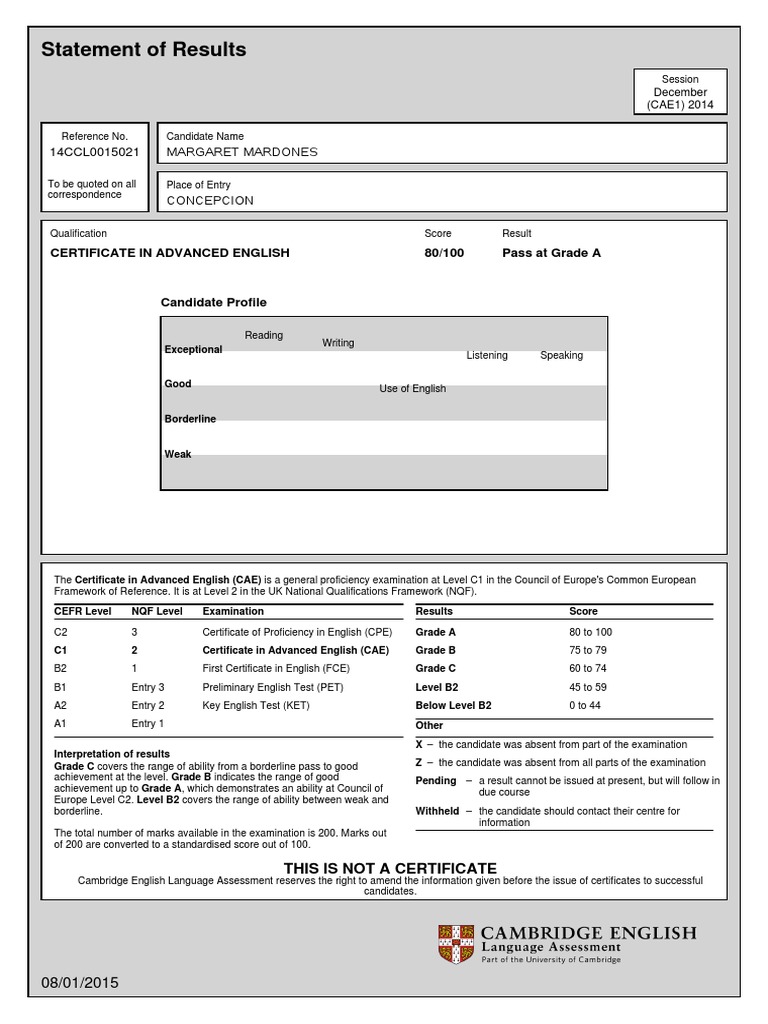 Statement of Result PDF Tests Vocational Education