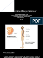 Trauma Espinal DR M Quintana 2020
