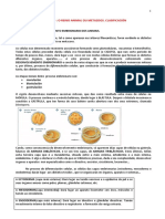 6 - Reino Animal. Clasificación