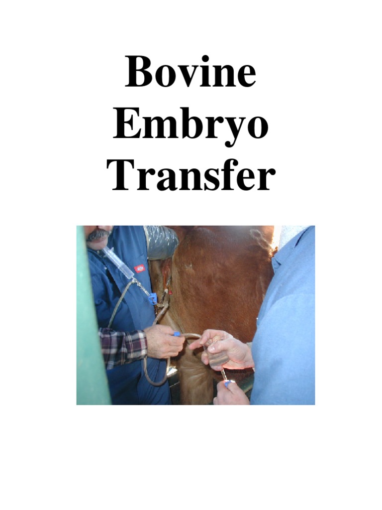 History and Techniques of Cattle Embryo Transfer | PDF | Cattle | Dairy ...