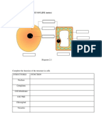 Worksheet 2.1 Science Cell As Basic Unit of Life