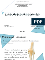 Sistema Articular