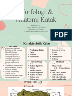 Kelompok 1 Morfologi & Anatomi Katak