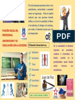 Funcion Social Del Profesional Universitario Infografia