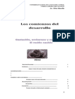 Mansilla S. Los Comienzos Del Desarrollo (4) (2469)