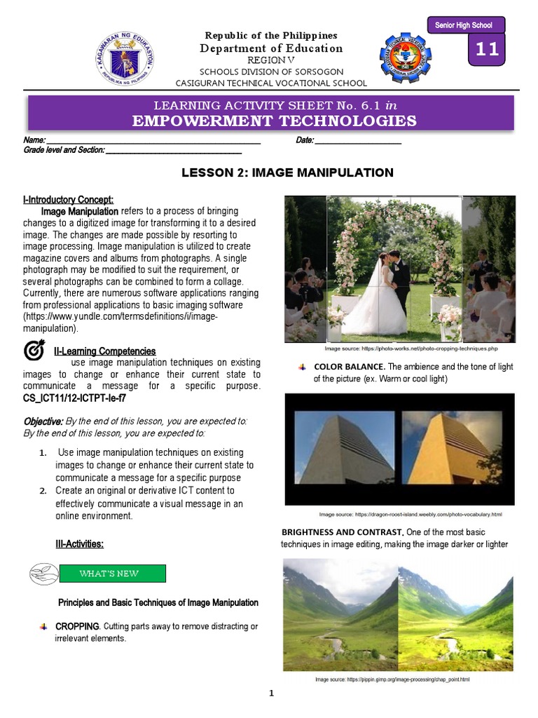 Image Manipulation Techniques Lesson | PDF | Image Editing | Vision
