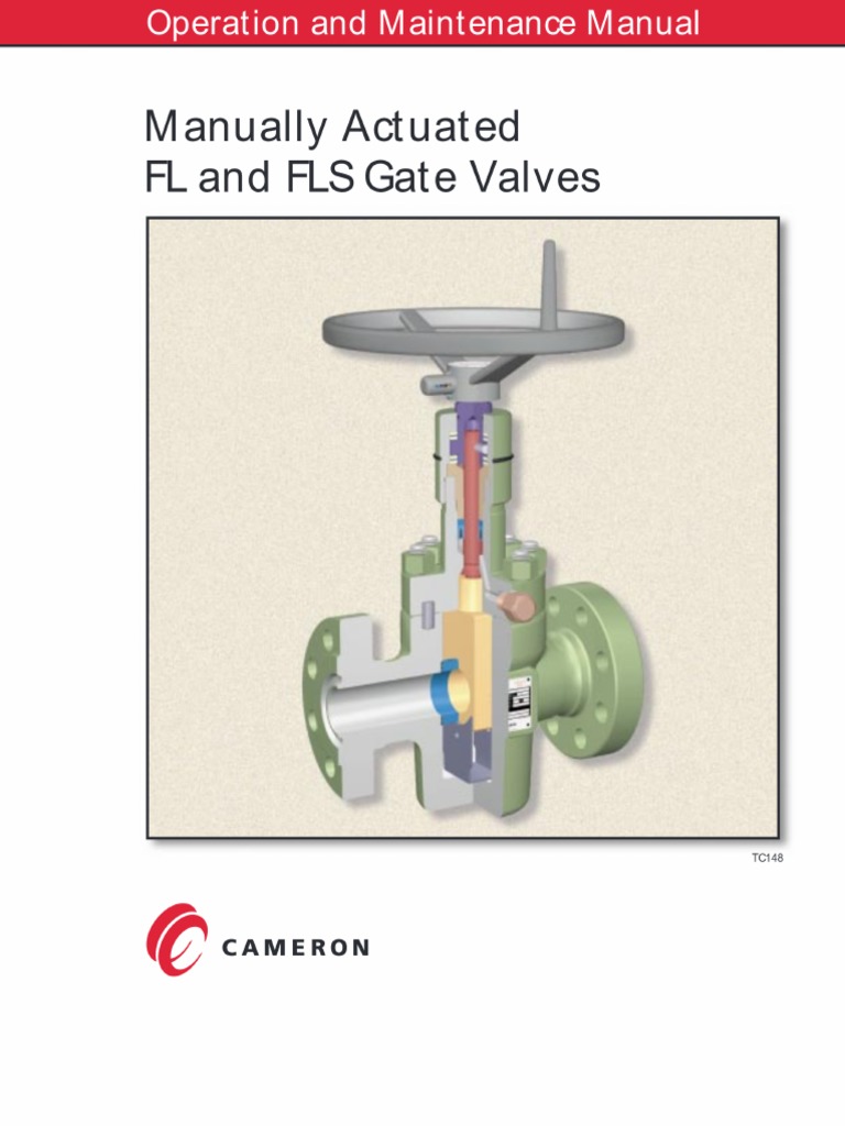 Manually Fls Valves | PDF