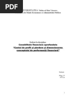 Contul de Profit Si Pierdere Si Dimension Area Conceptului de Per For Manta Financiara