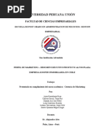GRUPO_Perfil de Marketing Proyecto ALTOS PLAZA