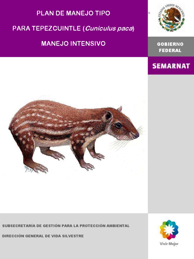 Plan de Manejo del Tepezcuintle | PDF | Carne | Los bosques