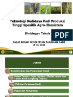 OPTIMASI TEKNOLOGI BUDIDAYA PADI SAWAH