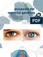 Organización Del Material Genético: Biología