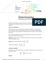 Determinantes - Jupyter Notebook