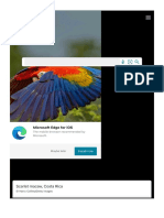 Scarlet Macaw, Costa Rica: Microsoft Edge For iOS