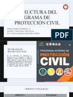 Estructura Del Programa de Proteccion Civil