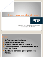 Les Causes Du Stress 3ISI ISE