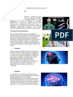 Enfermedades Del Sistema Nervioso