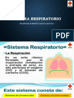 Sistema Respiratorio