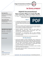 In Development: Hybrid Unconventional Non-Marine Plays in Asia-Pacific