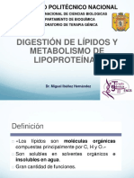 9 DIGESTIÓN DE LÍPIDOS Y METABOLISMO DE LIPOPROTEÍNAS