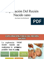 Exploracion Del RN