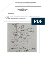 Activity No. 3, Cardiovascular Sys.