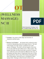 Hilot: (Wellness Massage) NC Ii