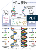 DNA AND RNA STEM GENERAL BIOLOGY 1 