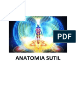 Anatomia Sutil
