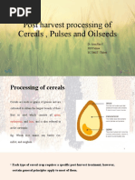 Understanding the Winnowing Process | PDF | Agriculture