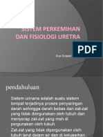 Fisiologi Uretra