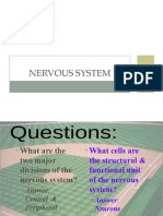 Nervous System