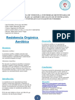 Resistencia aeróbica vs anaeróbica: ¿Cuál es más importante