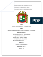 Universidad Nacional Del Altiplano - Puno Facultad de Ingenieria de Minas Escuela Profesional de Ingenieria de Minas