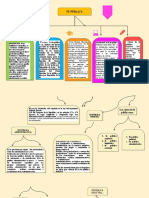 Mapa Conceptual de La Fe Publica