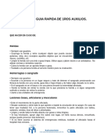 Guia Rapida de 1ros Auxilios