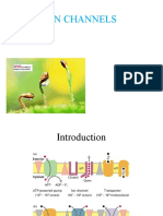 Ion Channels