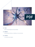 Bases neurobiológicas del aprendizaje: Neuroanatomía básica y métodos