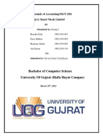 Accountings Semester Project