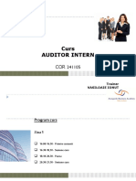 Curs Audit Intern - Vasiloae Ionut