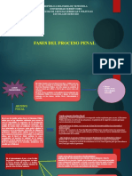 Fases Del Proceso