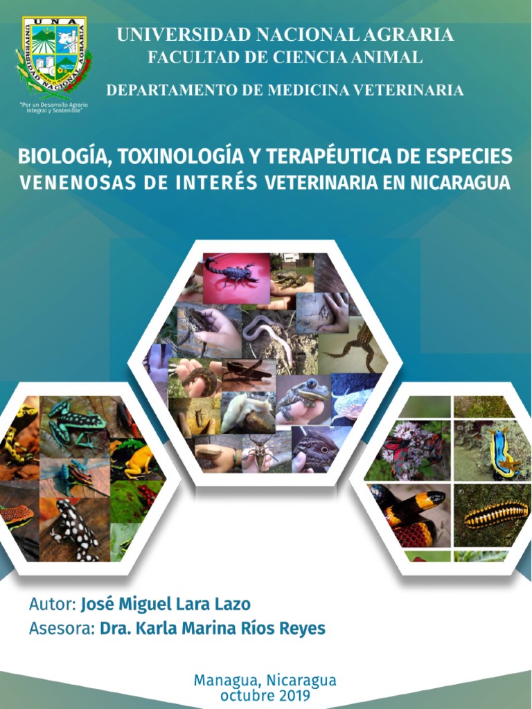 Libro de Insectos | PDF | Toxicidad | Araña