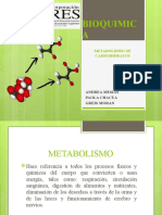 Exposicionmetabolismo de Carbohidratos