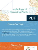 Morphology of Plants