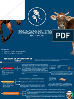 Tecnicas de Extracc0nde Semen en Equinos y Bovinos.