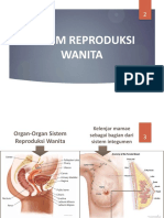 Anatomi Dan Fisiologi Sistem Reproduksi