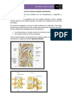 Articulaciones Columna Vertebral Continuacion (5 Parte)